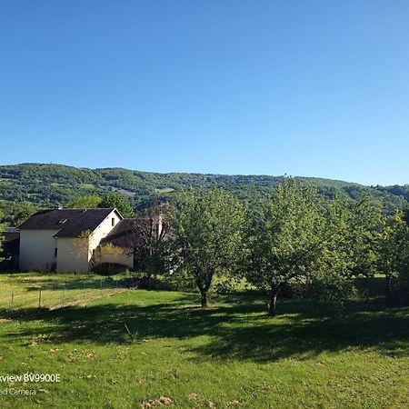 Ferienwohnung La Clematite D'Olt Saint-Côme-dʼOlt Exterior foto